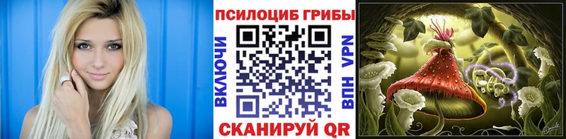 Галлюциногенные грибы Psilocybine cubensis где купить наркоту Велиж